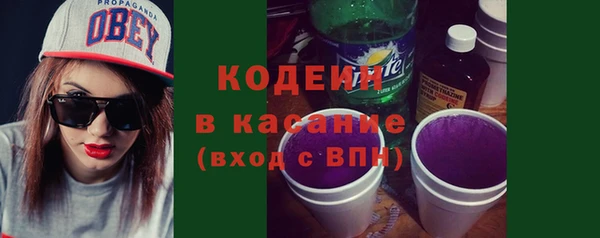 прущие грибы Алзамай