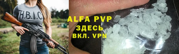 прущие грибы Алзамай