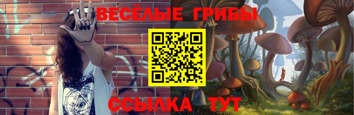 Псилоцибиновые грибы MAGIC MUSHROOMS Архангельск
